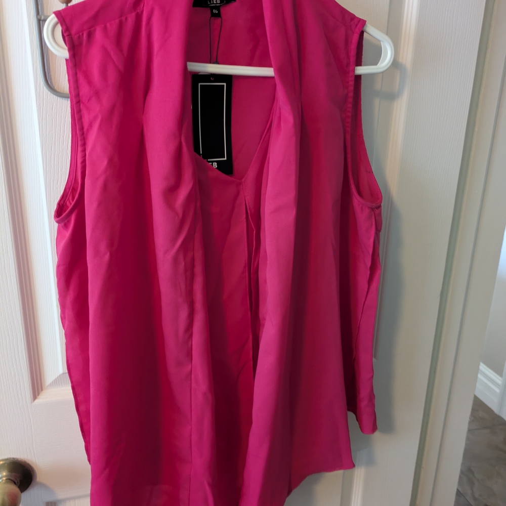 Vibrant Pink Sleeveless LIEB Blouse with Mandarin Collar